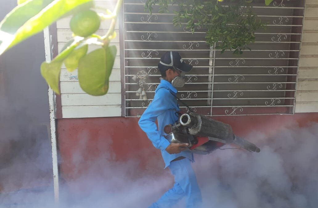 Intensifican lucha contra mosquito transmisión del dengue