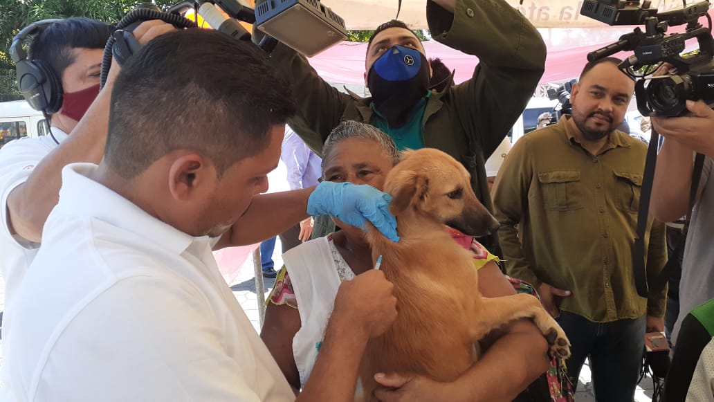 Inicia la jornada Nacional de vacunación antirrábica canina en Nicaragua