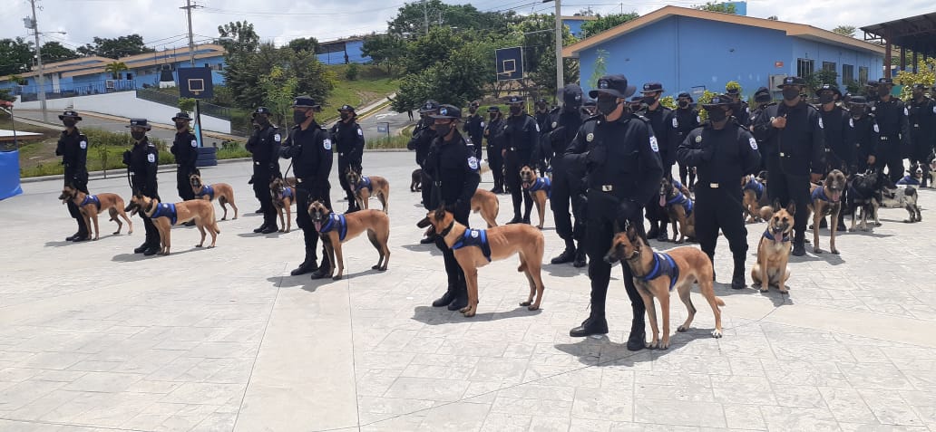 Nuevas unidades de técnica canina  en la Policía Nacional