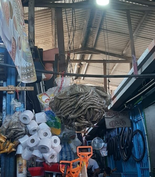 Managua: Mercado Candelaria estrena sistema eléctrico