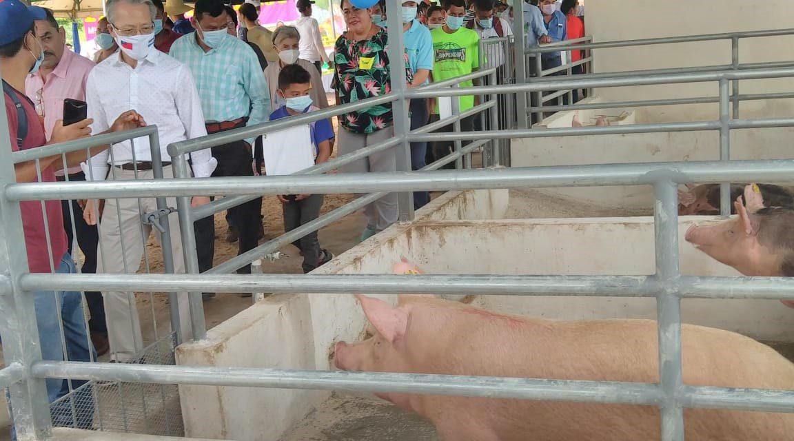 Inauguración de granja porcina en Juigalpa, entre las actividades universitarias de esta semana