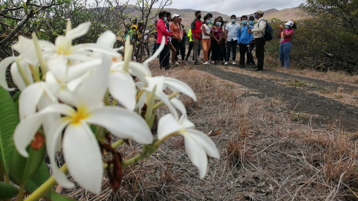 Ecosistemas, otro atractivo turístico del Parque Volcán Masaya