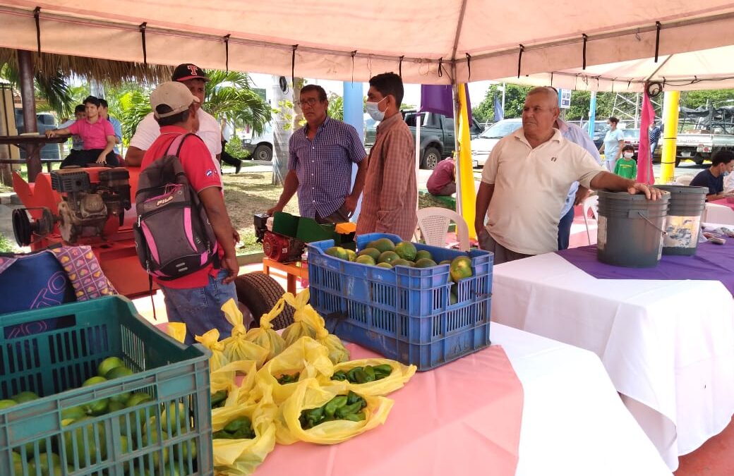 Productores participan del certamen Agro Innovación Nicaragua 2021