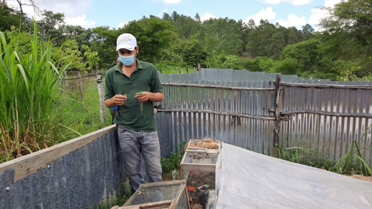 Entregan bonos ambientales a productores de zoocriaderos en Nueva Segovia