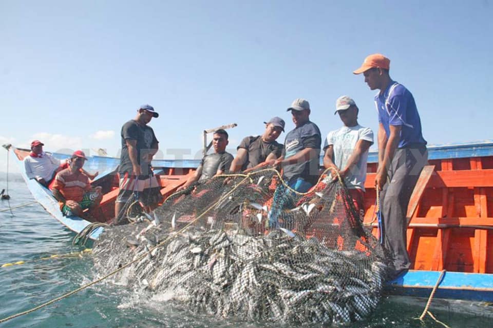 Exportaciones pesqueras de Nicaragua rondan 100 millones de libras