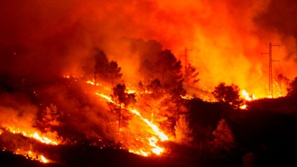 Turquía, Grecia, Italia países azotados fuertemente por incendios forestales