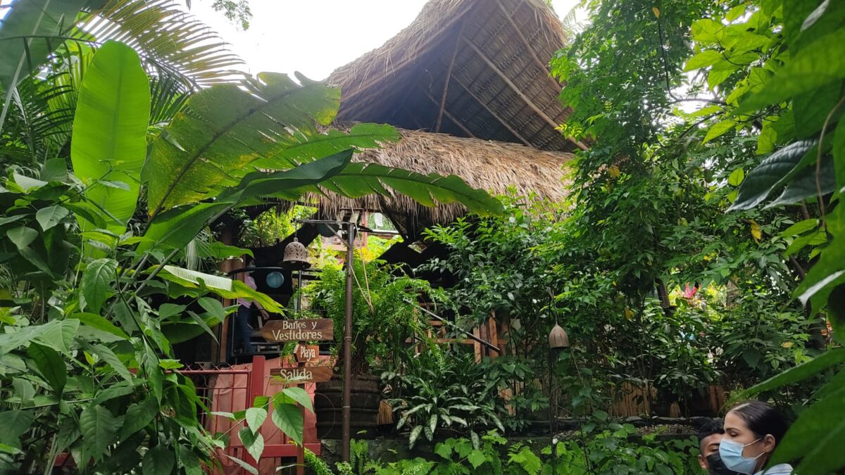 «Casa Marimba», tranquilidad y comodidad a tu alcance
