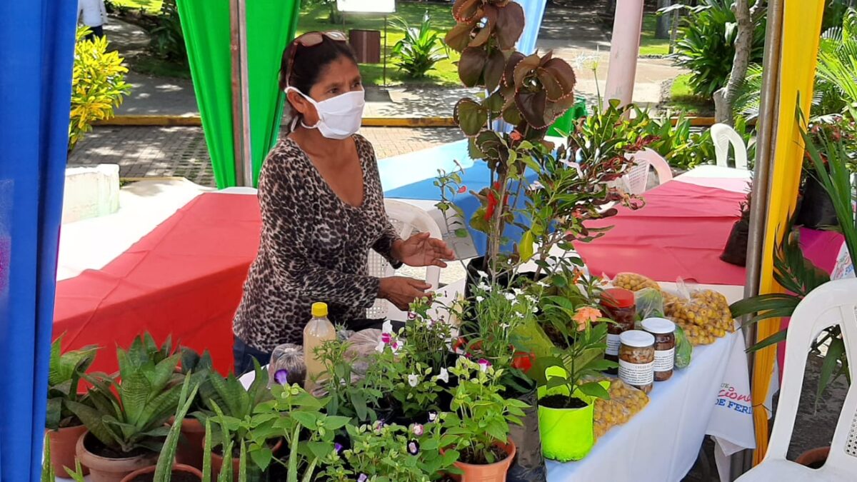 Producción de flores y plantas ornamentales, con importante auge en Nicaragua