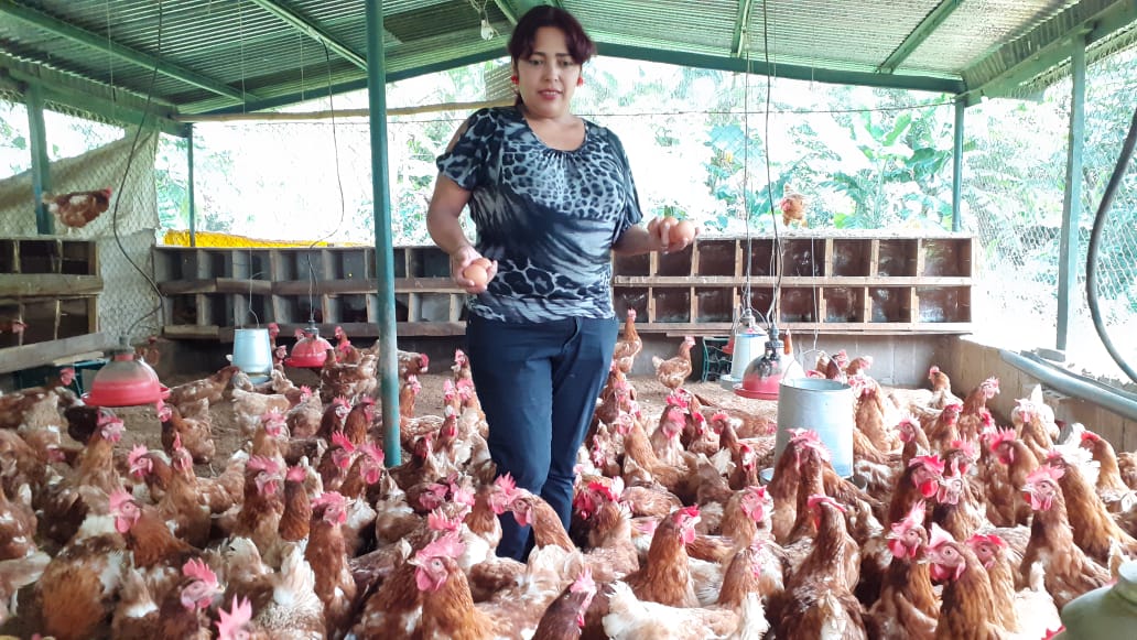 Avícola Makena, un sueño hecho realidad para una mujer emprendedora