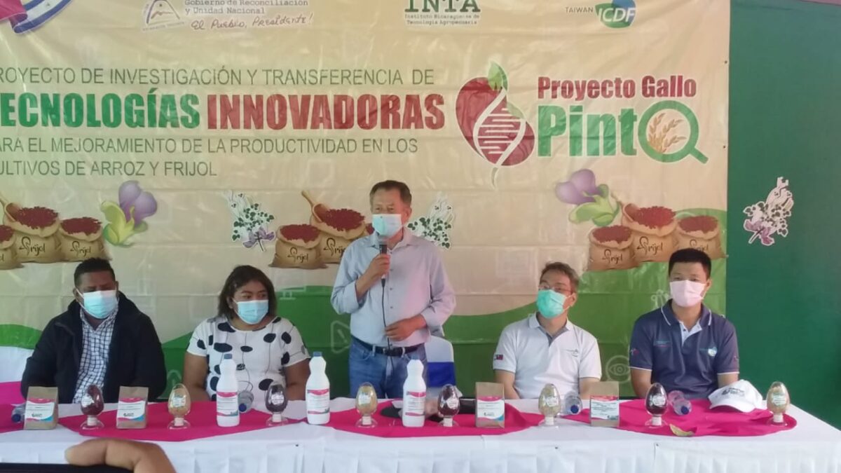 Carazo: productores de frijol apuntan a nuevas tecnologías