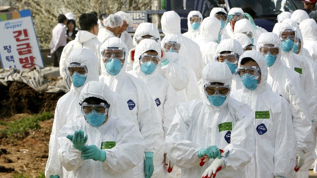 Autoridades de Corea del Sur confirman casos de gripe aviar H5N8