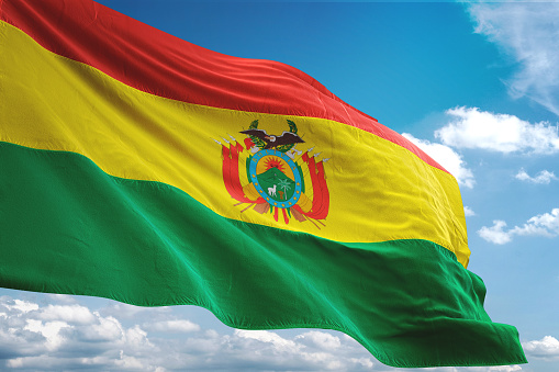 Bolivia envía saludos por Elecciones Generales en Nicaragua