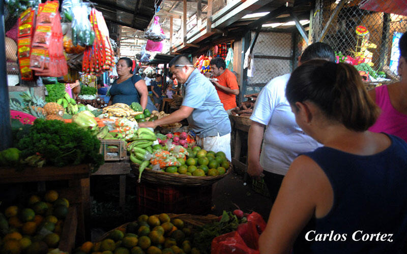 Productos alimenticios mantienen sus precios en los mercados de Nicaragua