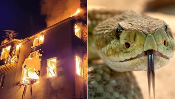 Hombre quema su casa para exterminar serpientes y ellas sobreviven