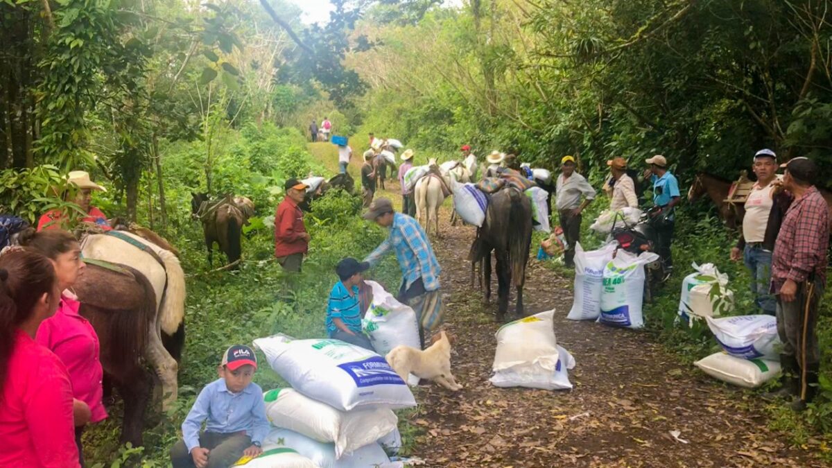Agricultores rurales de Boaco reciben bonos para café