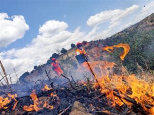 Decretan Alerta Roja por incendios forestales que amenazan El Salvador