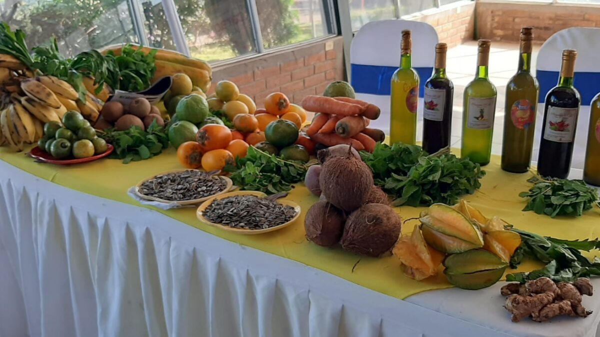 Incrementa el cultivo de frutas tropicales en Nicaragua