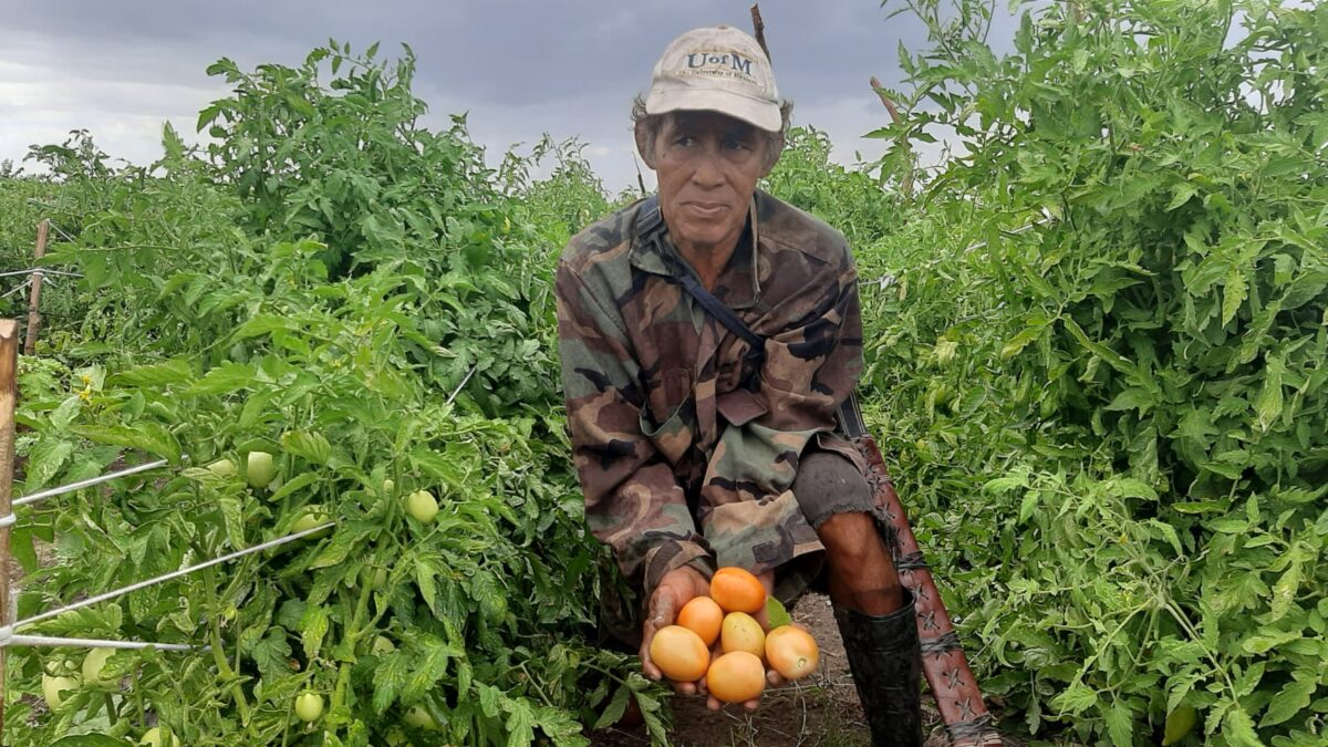 Productor de Managua diversifica cultivos para obtener más ingresos