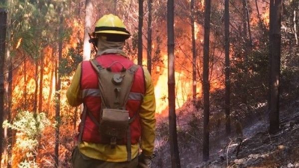 Chile declaran alerta amarilla ante incendios en Melipueco