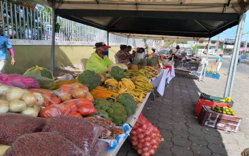 Realizan feria de frutas exóticas y de verano en Managua