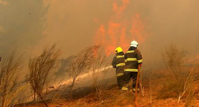 Incendio consume varias hectáreas de bosque en el centro de Chile