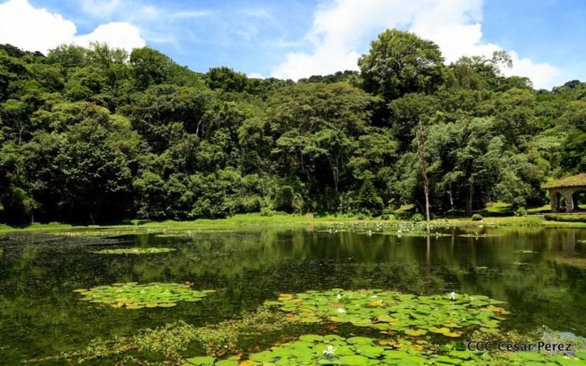 Marena registra 74 áreas protegidas que posee Nicaragua