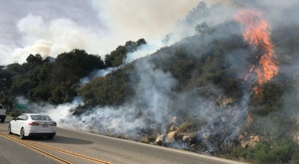 Arizona: incendio forestal obliga la evacuación de 700 hogares