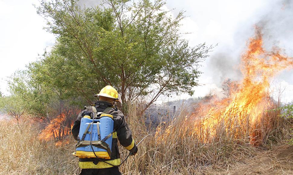 Nicaragua registra menos incendios forestales en verano
