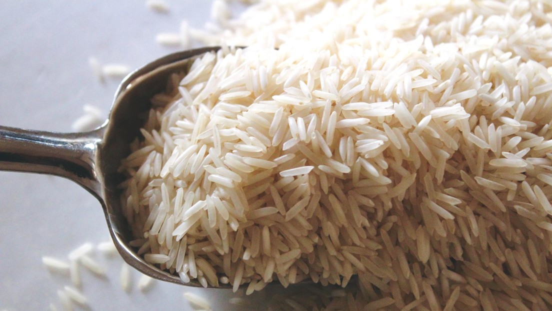 India: ponen restricciones a las exportaciones del arroz