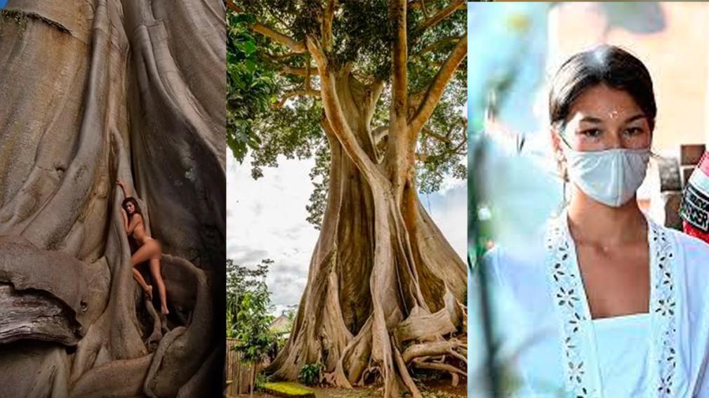 Deportan a influencer por posar desnuda frente a árbol sagrado de 700 años