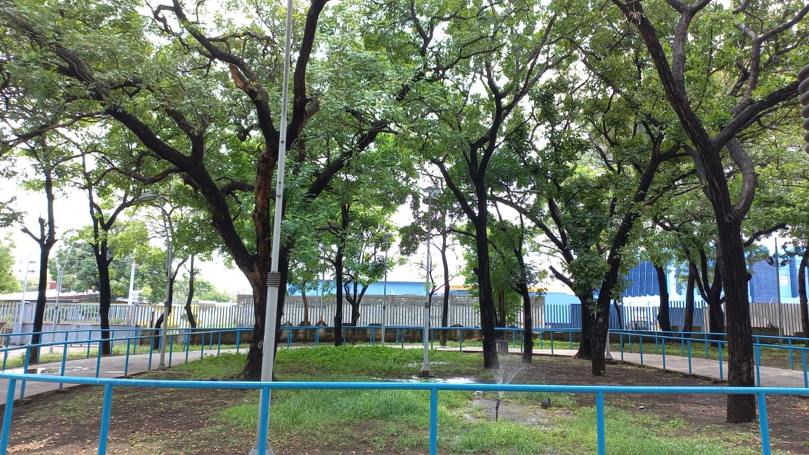 Managua: levantan inventario de los parques para crear bosques urbanos