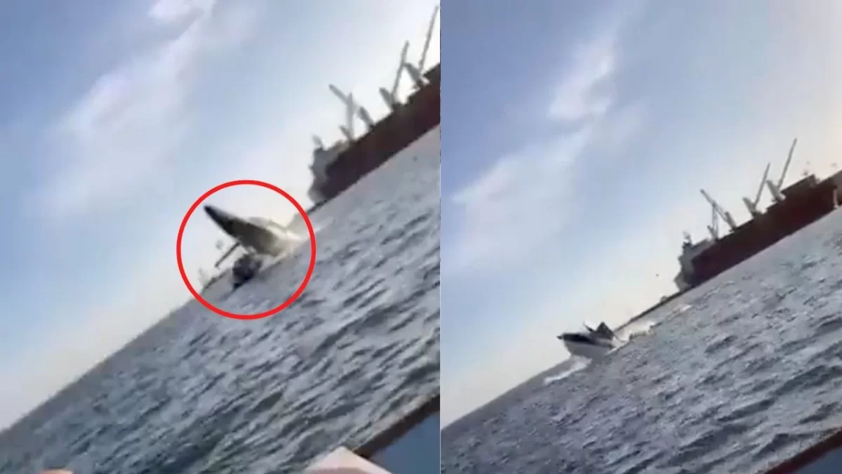 Yate con turistas es aplastado por una ballena en las costas de México