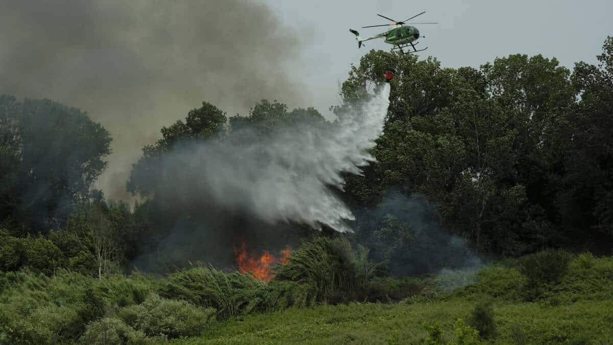 Al menos seis fallecidos deja accidente de helicóptero en EE.UU.
