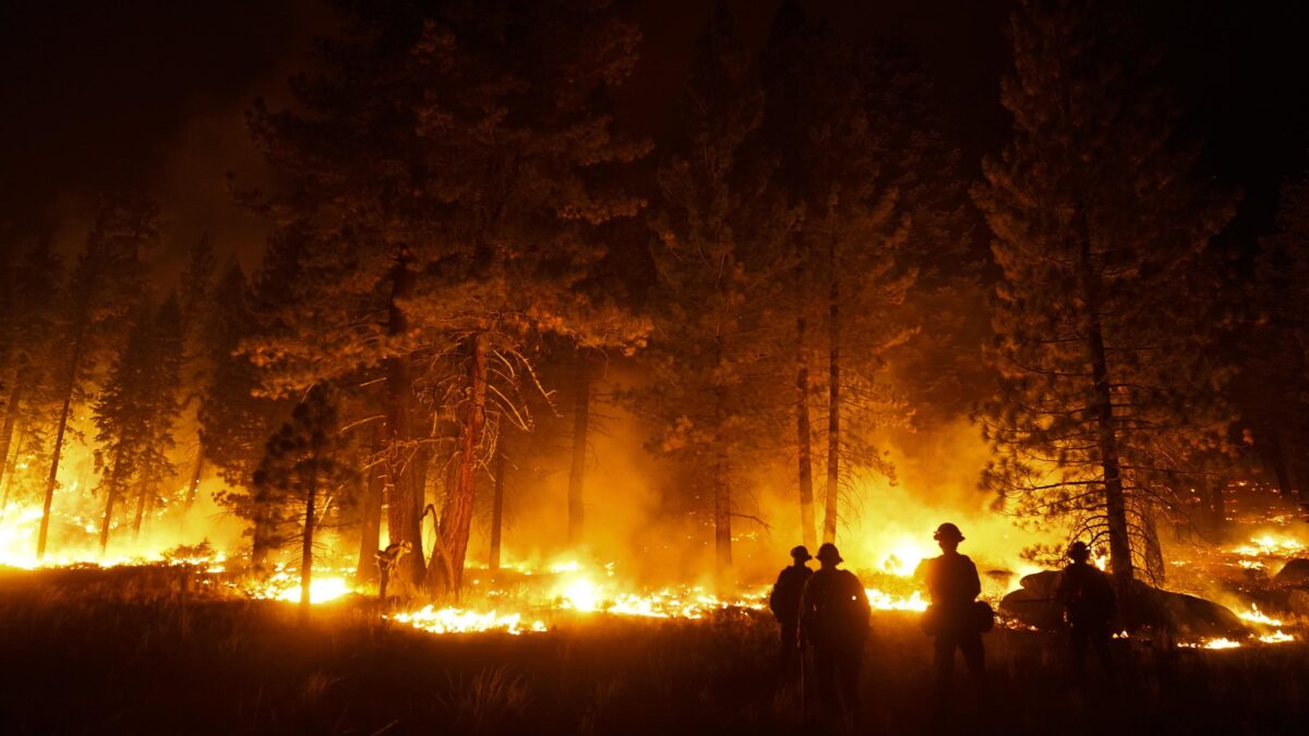 California: incendios forestales devoran bosque nacional