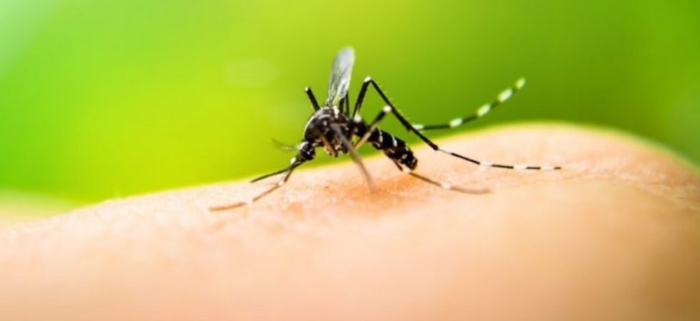 Cuba presenta plan para combatir el dengue