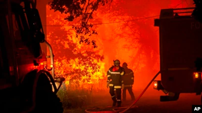 Francia: ola de calor eleva riesgos de incendios forestal