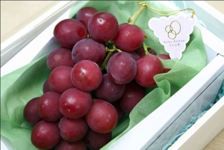 Racimo de uvas de lujo es valorado por U$10.000 en Japón
