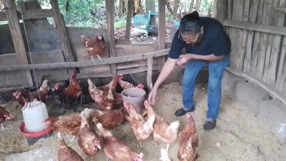 Avícola Martínez, el sueño hecho realidad de una emprendedora de Santa Teresa