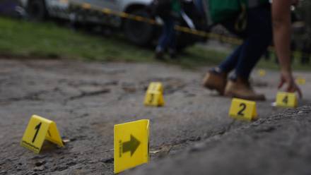 Encuentran 11 cadáveres en una huerta de aguacates en México