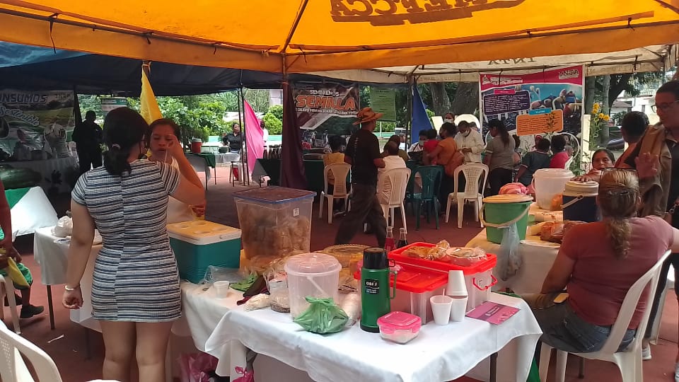 Familias ofrecen variedad de productos en feria de bioinsumos en El Rosario