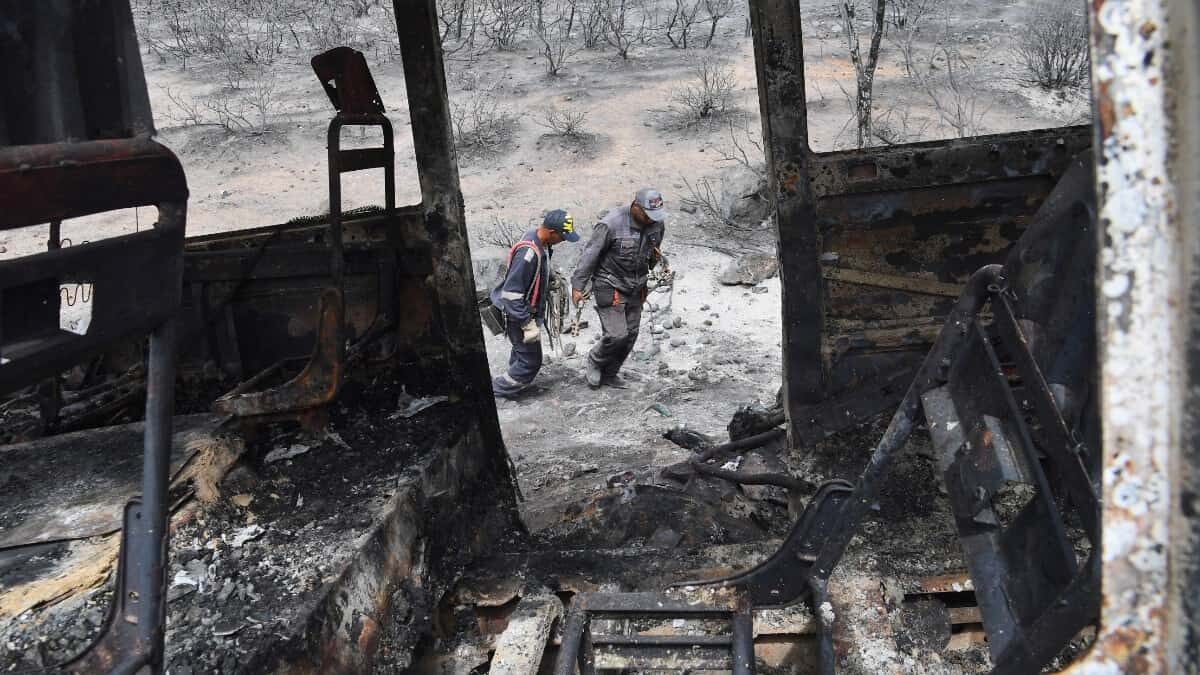 Al menos 38 muertos dejan incendios forestales en Argelia