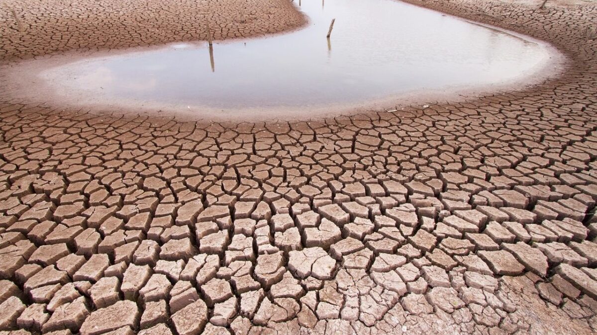 Ola de calor aumenta problemas de sequía en España