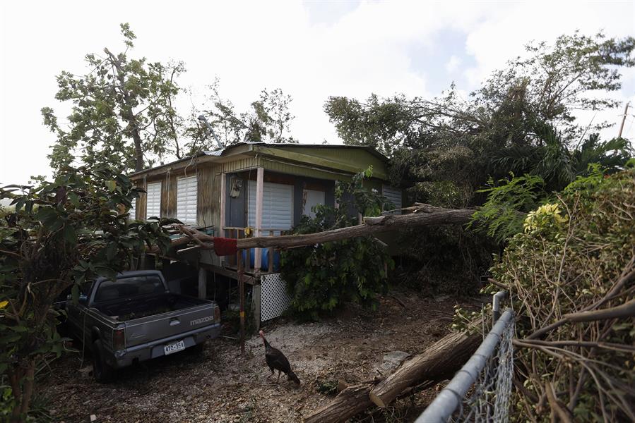 Aumenta cifra de decesos por huracán Fiona en Puerto Rico