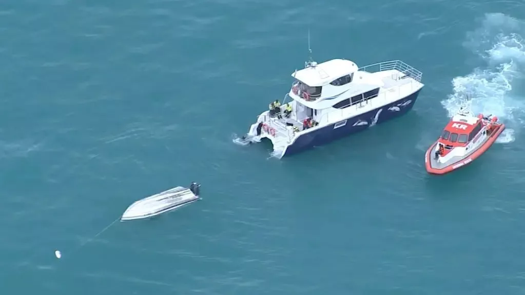 Ballena provoca la muerte de 5 personas al chocar con un bote en Nueva Zelanda