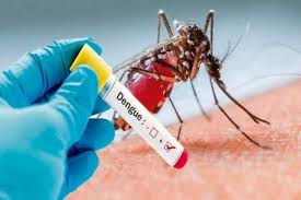 Cuba ejecuta acciones para enfrentar el dengue