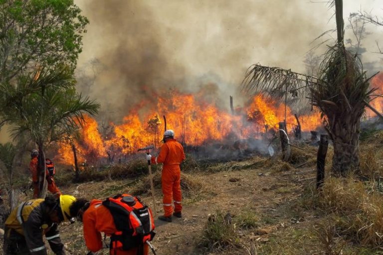 Al menos 17 incendios se han registrado en Bolivia propagándose a parques nacionales