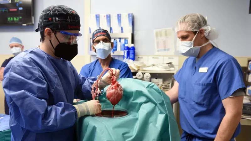 Paciente sometida a 2 trasplantes de corazón sueña en convertirse en médico