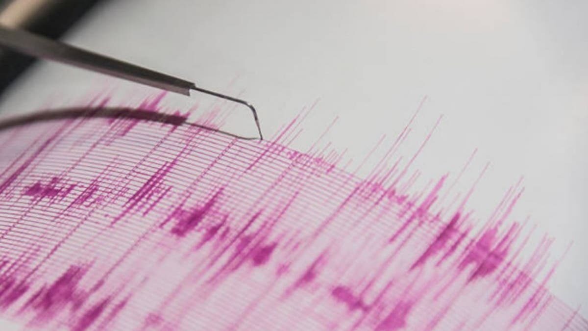 Sismo de magnitud 6,1 se registra en el sur de Chile
