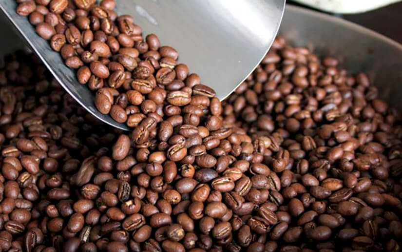 Unos 3.8 millones de quintales de café será la producción en el ciclo 2022-2023