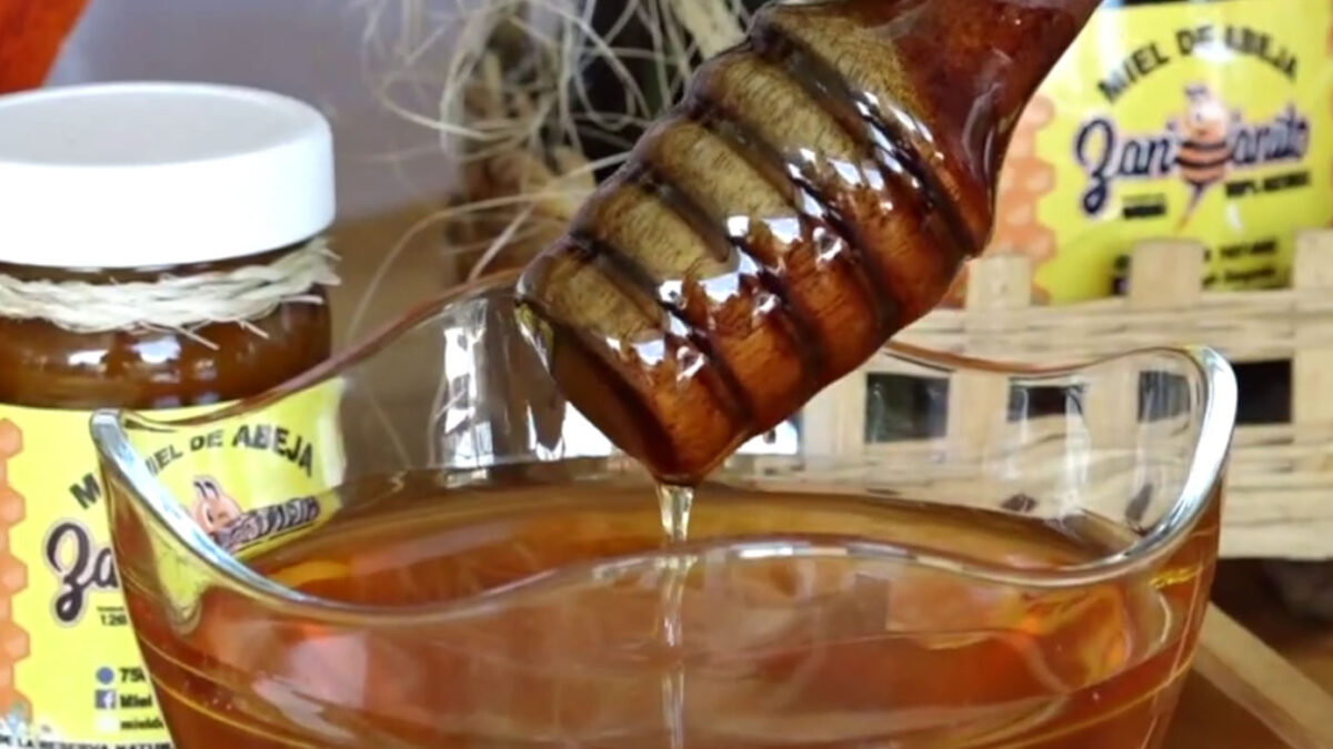 Apicultores nicaragüenses duplican producción de miel